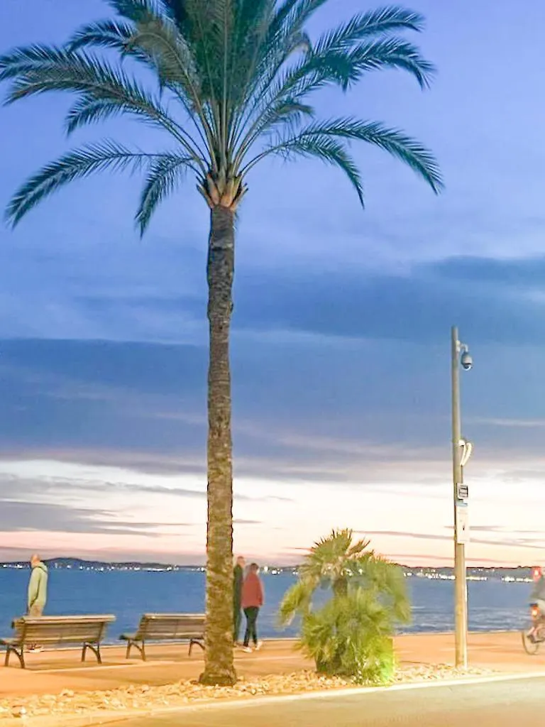 Les Bouleaux Yourhosthelper Cagnes-sur-Mer 0*,  Fransa